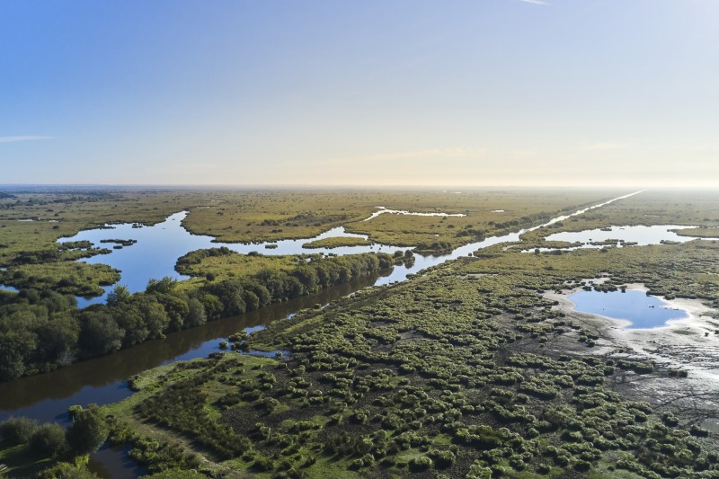 Marais de Brière