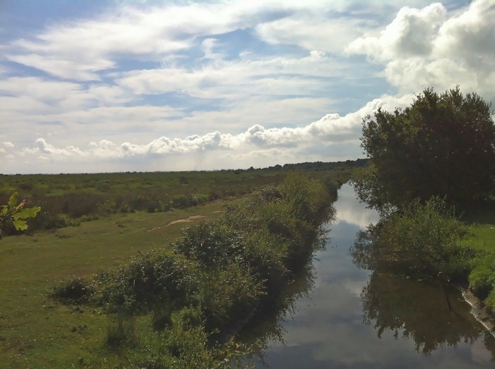 Marais et bocage_Saint-André-des-Eaux