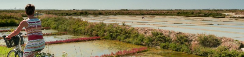 Marais salants à vélo