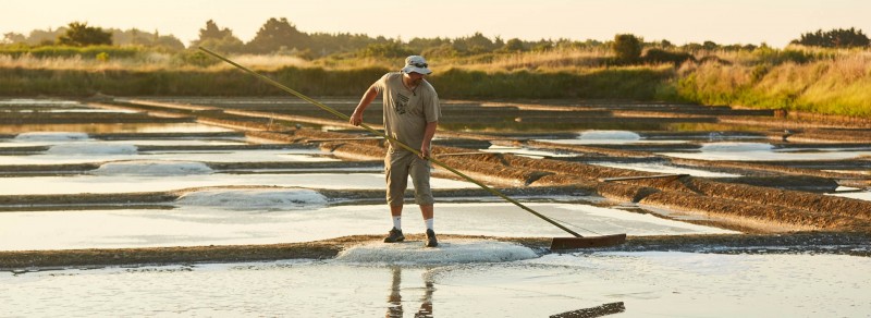 Marais Salants - Guérande