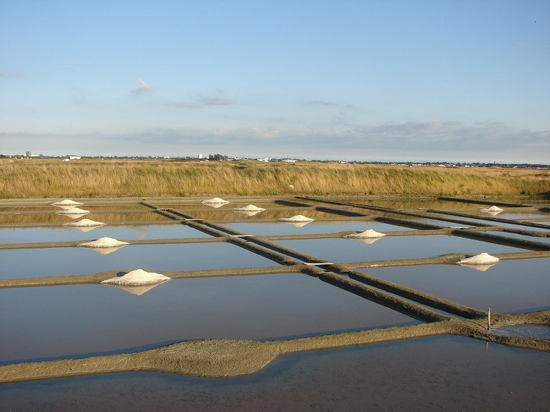 Marais salants Guérande Bretagne Plein Sud