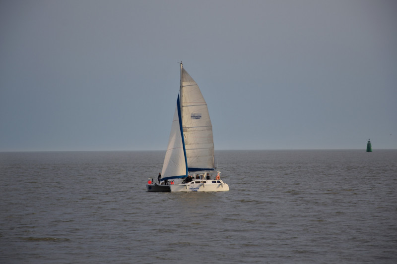 Mouette and Sea - Sortie en Catamaran - Pornichet