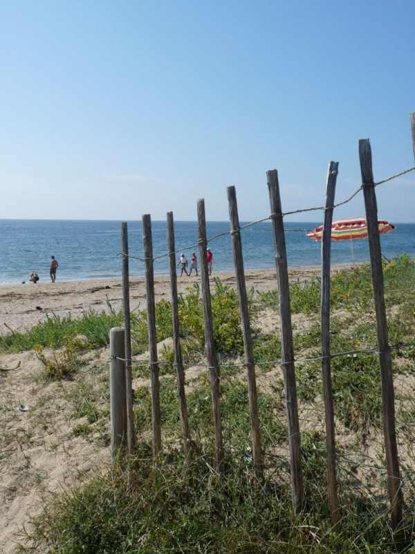 Strand von Loscolo