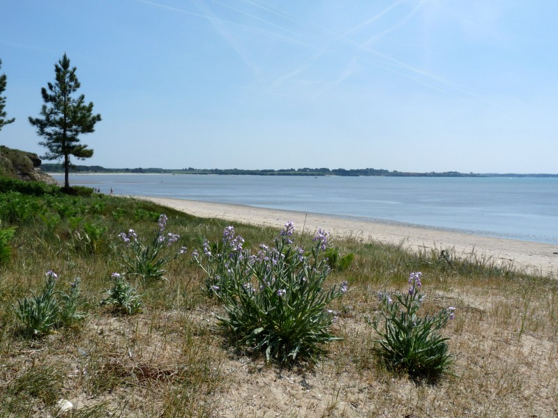 Palandrin beach