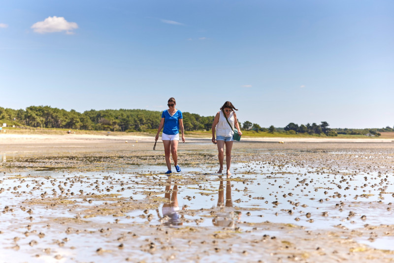 Plage de Pont-Mahé - Assérac
