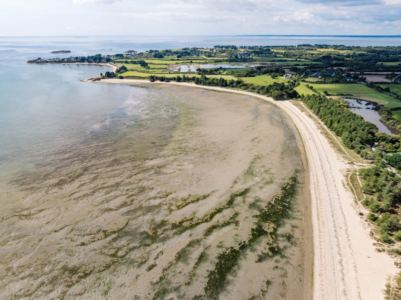 Plage du Palandrin - Pénestin