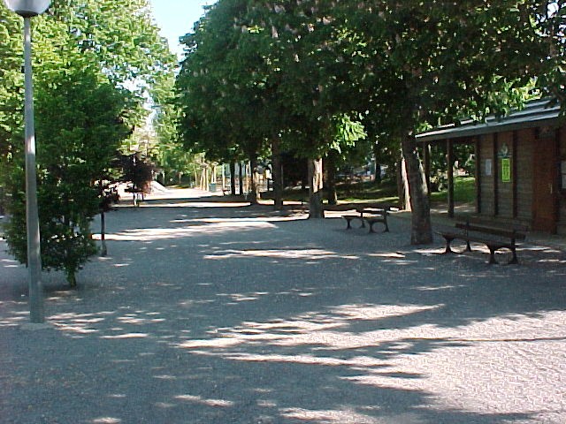 Terrain de pétanque au bois du Pouliguen