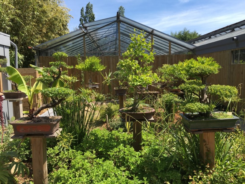 Tropicarium - Jardin exotique - La Baule