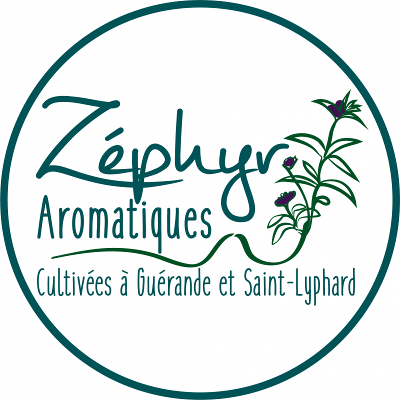 Zéphyr Aromatiques - Guérande - logo