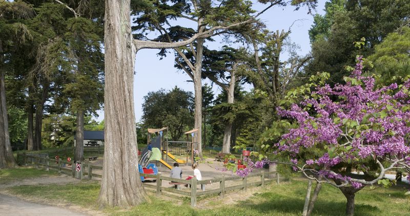 Bois (Stadtpark) von Le Pouliguen - © Christian Braut