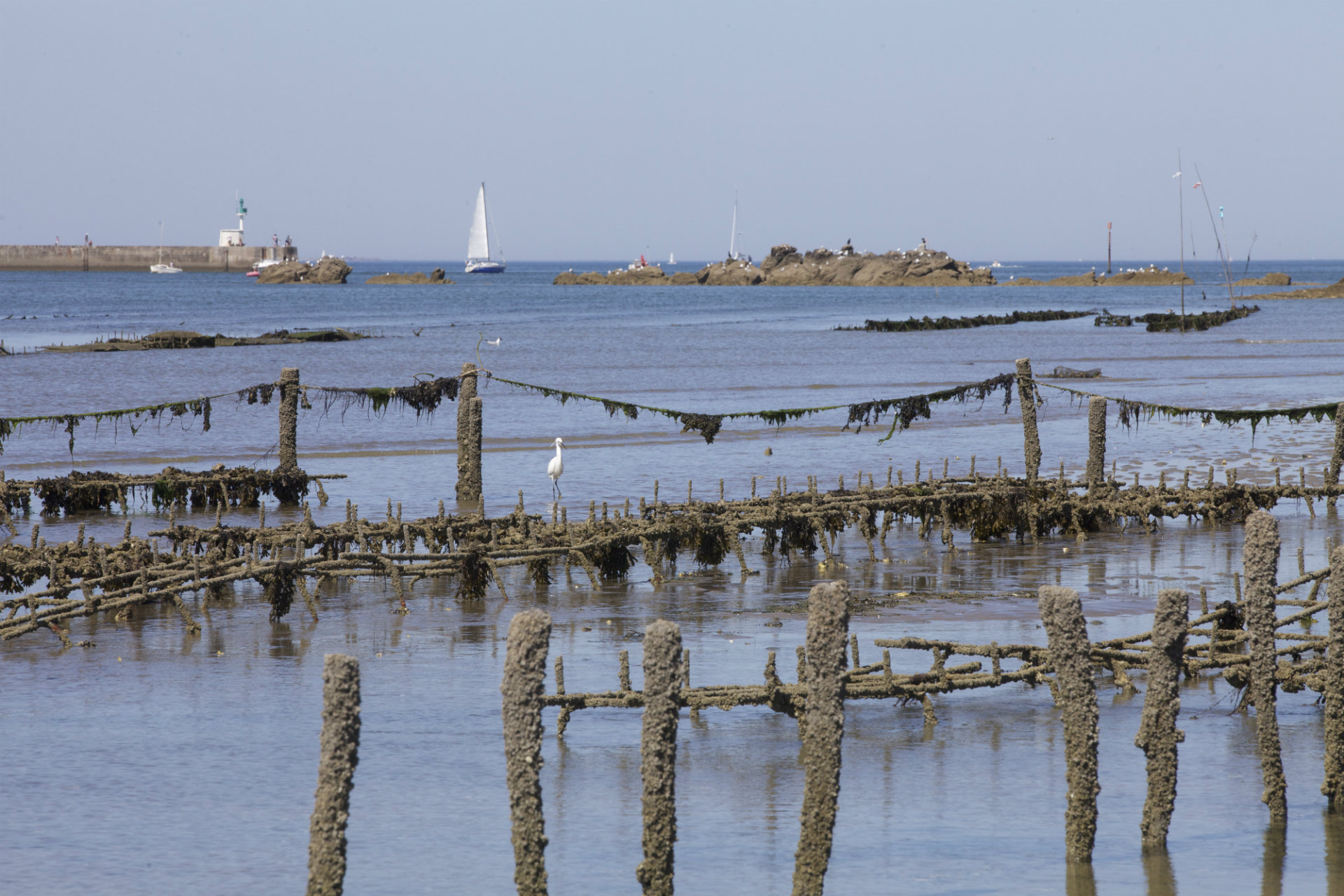 Assérac- Traict de Pen Bé - Baie de Keravelo - © Teddy Locquard 