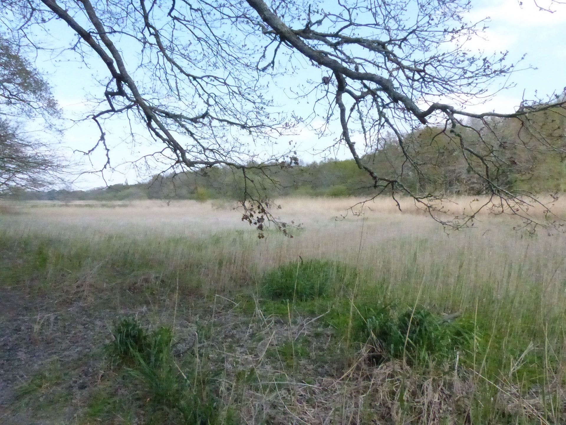 Blog - Balade en campagne entre Chaumières et Marais à Saint Lyphard - © OTILBPG_S.Touguet