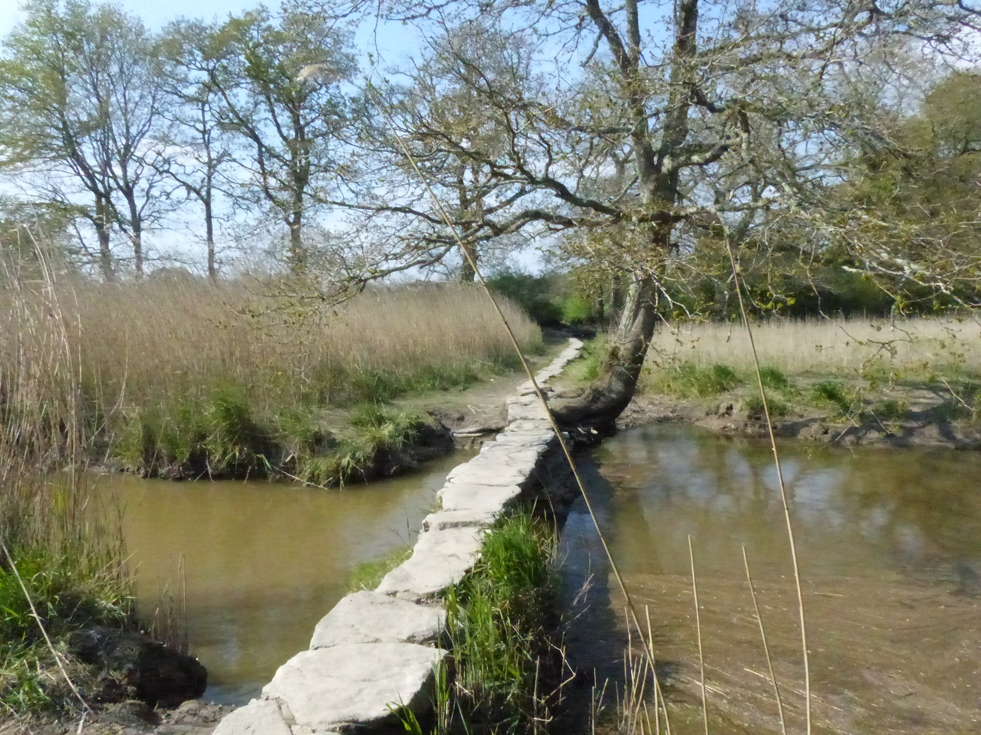 Blog - Balade en campagne entre Chaumières et Marais à Saint Lyphard - © OTILBPG_S.Touguet