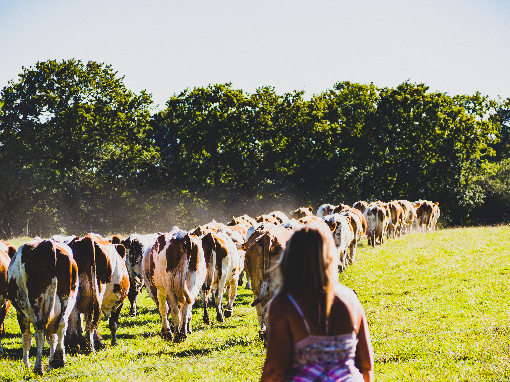 Blog-La ferme des îles Morice : un paradis familial à Saint-Molf ! - © OTI-LBPG