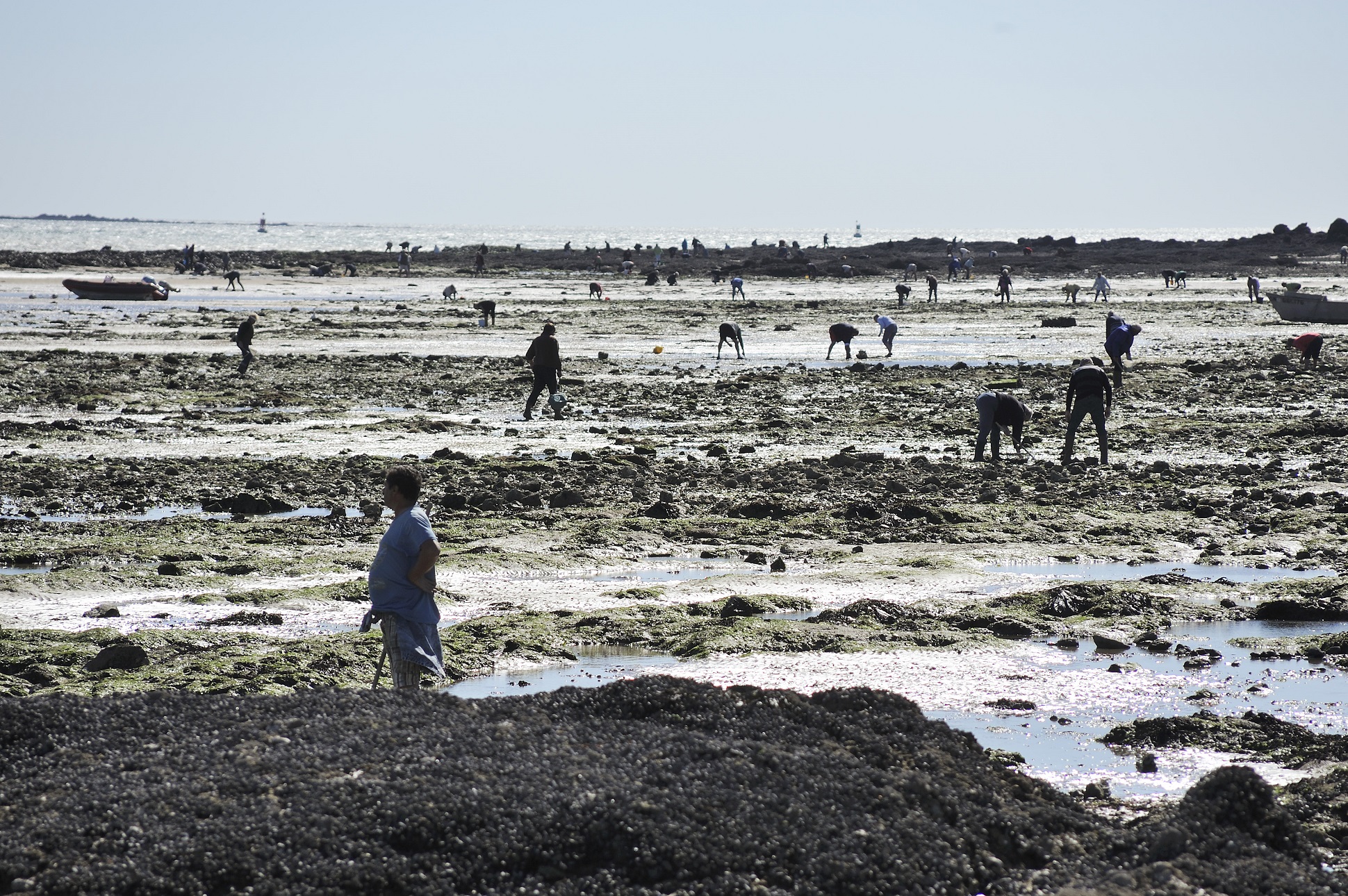 Blog-Les joies de la pêche à pied au Pouliguen - © OTILBPG_P.Gérard