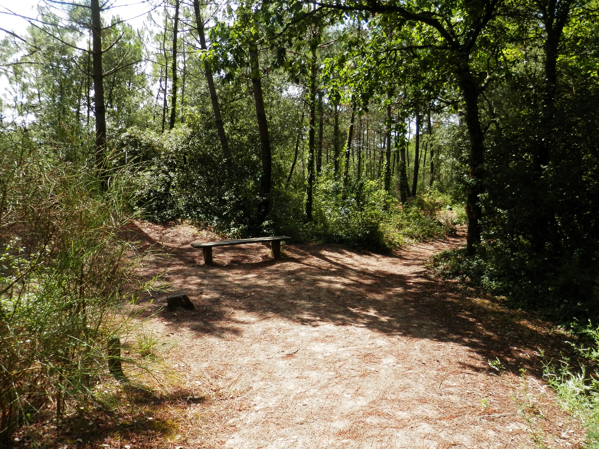 Blog -  Milène sur le circuit de la Petite Marchande à La Baule - © OTILBPG_I.Perrais