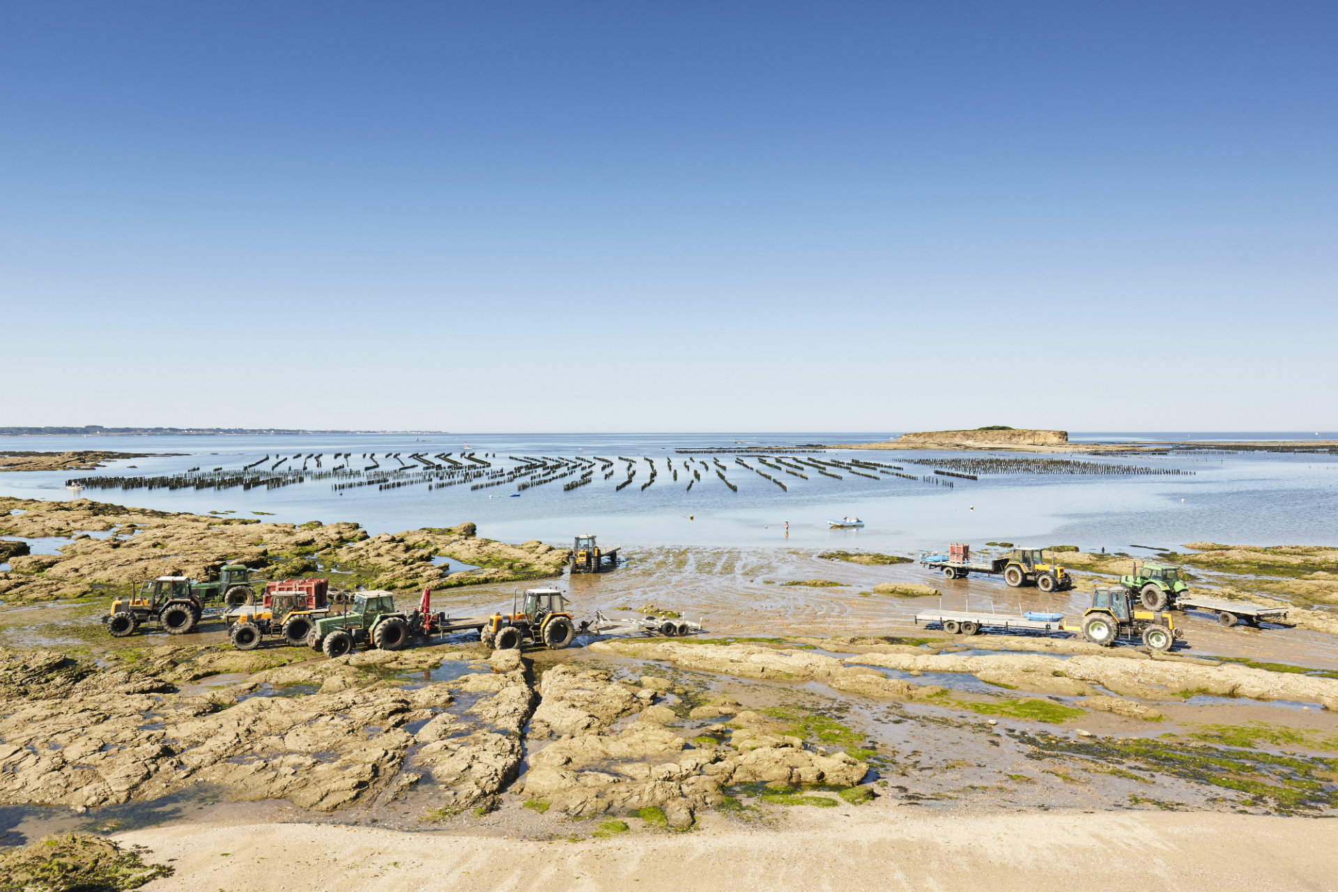 Blog - Vélo ou rando en Presqu'île de Guérande ? - © Alexandre Lamoureux