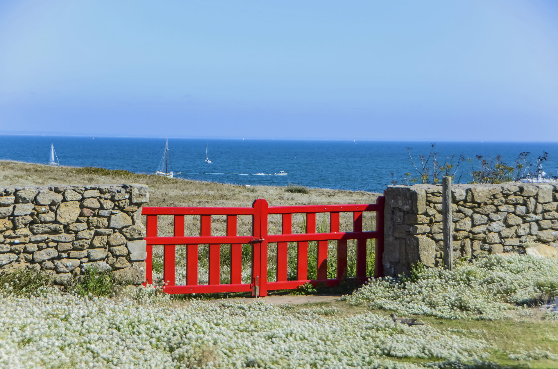 Ile d'Hoedic - © CRT Bretagne/Jacqueline Piriou