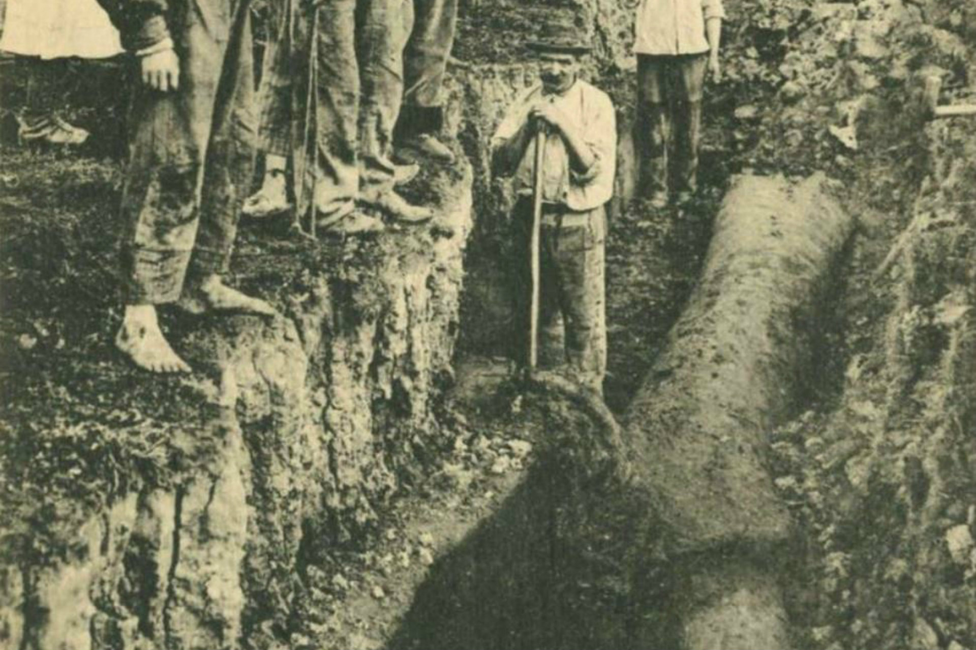 Découverte d'un arbre lors de la coupe de la tourbe - © Détail d'une carte postale début 20e