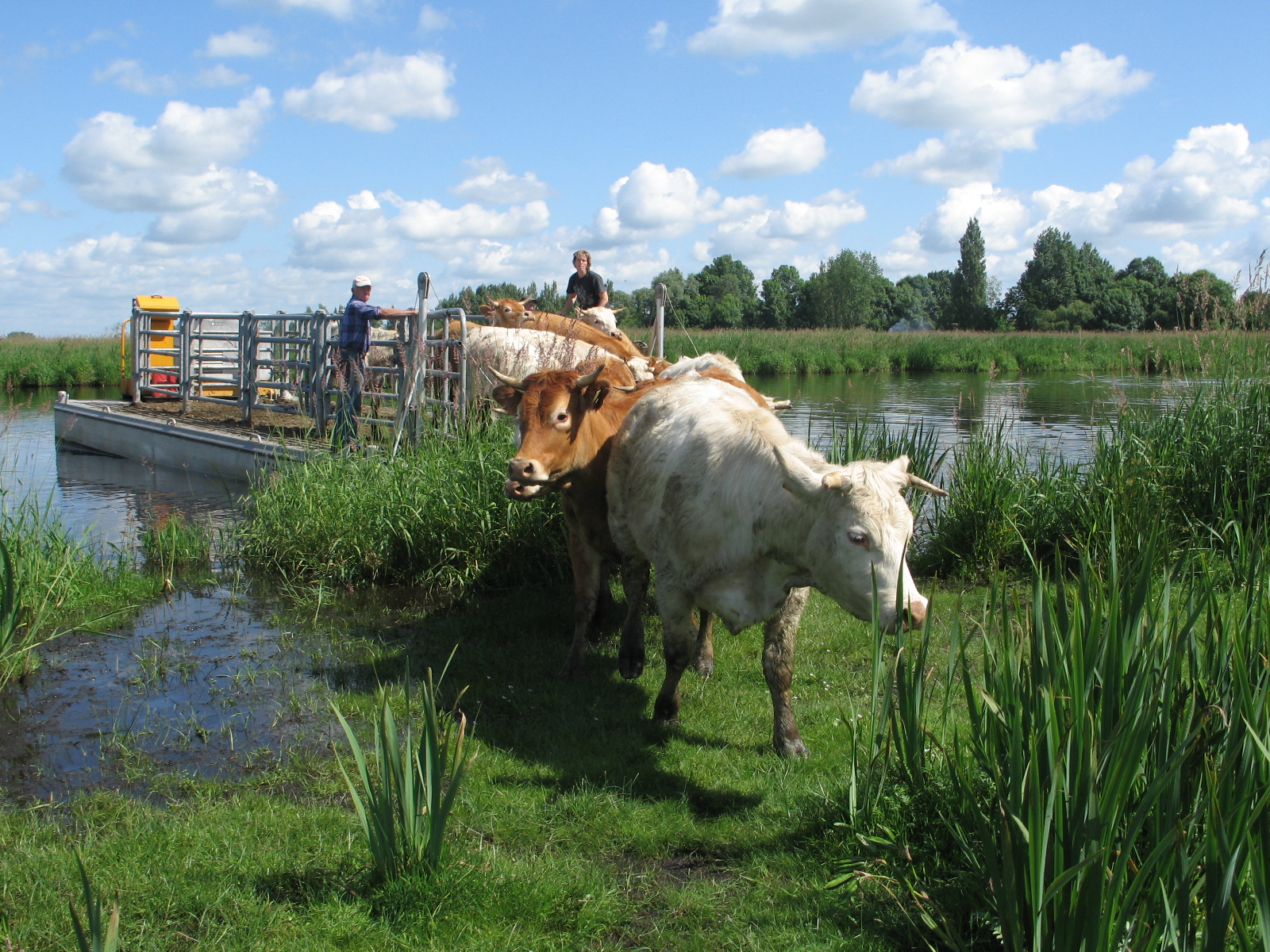 Local gastronomy - Briere - © PNRB - Tiphaine Thudor