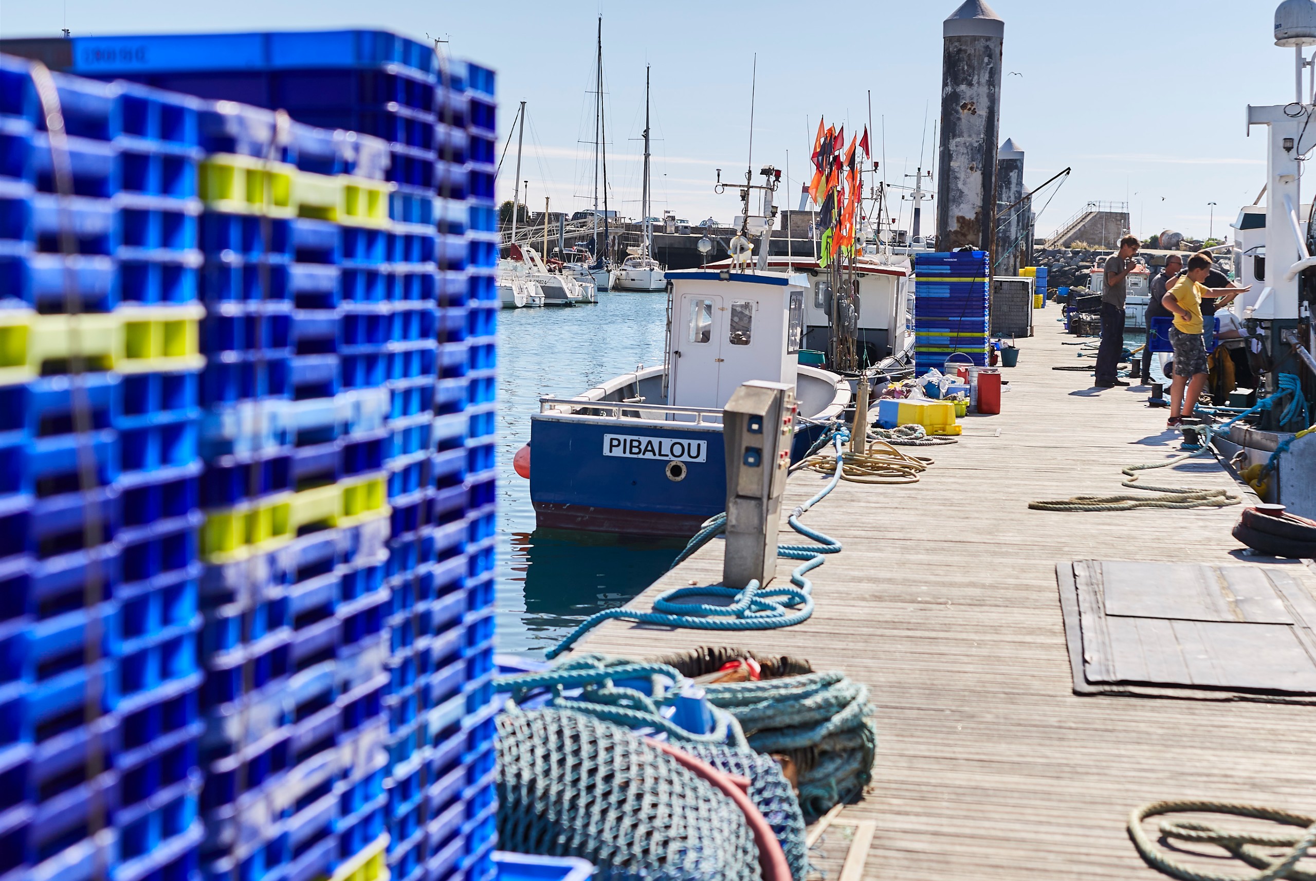FAQ - Acheter poisson et crustacés en vente directe - La Turballe - © Alexandre Lamoureux