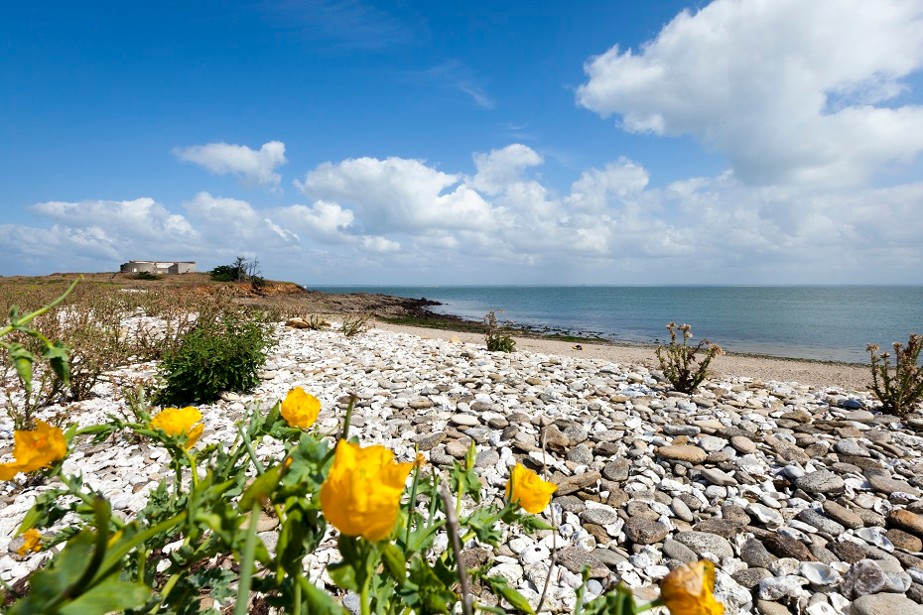  - © Paul Pascal - Département de la Loire Atlantique