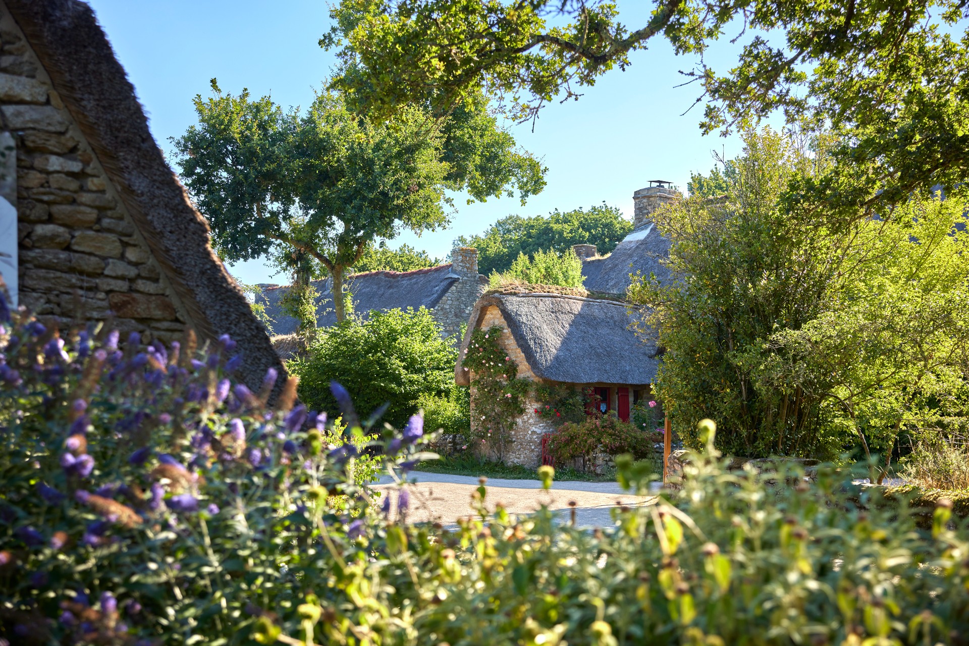 FAQ - Brière - Visiter le Village de Kerhinet - © Alexandre Lamoureux