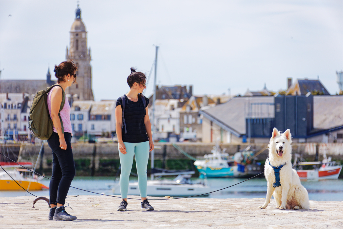 FAQ - Où promener mon chien cet été ? Pen-Bron à La Turballe - © Gérald Le Pan