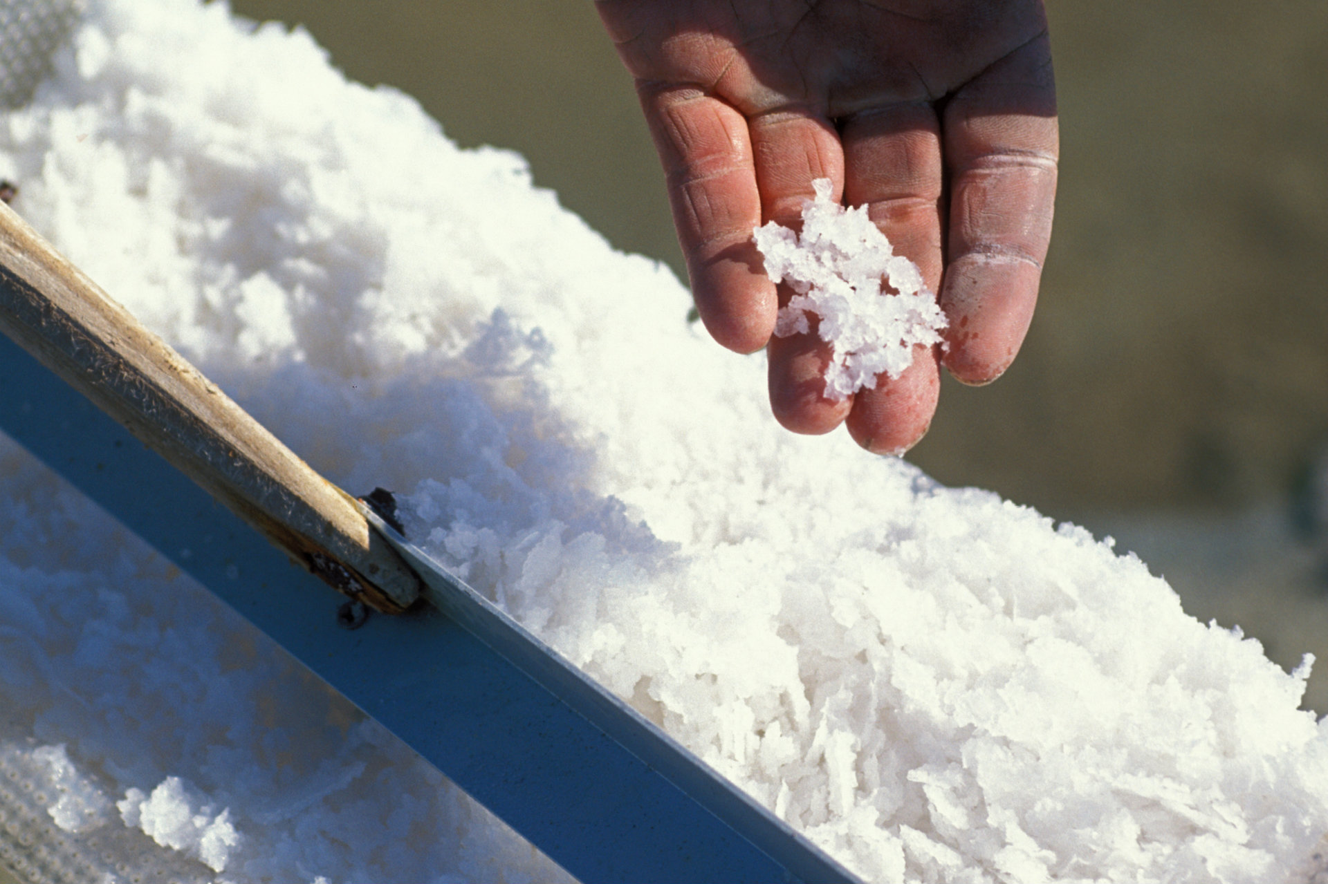 Fleur de sel de Guérande - © Cap Atlantique/Matthieu Colin