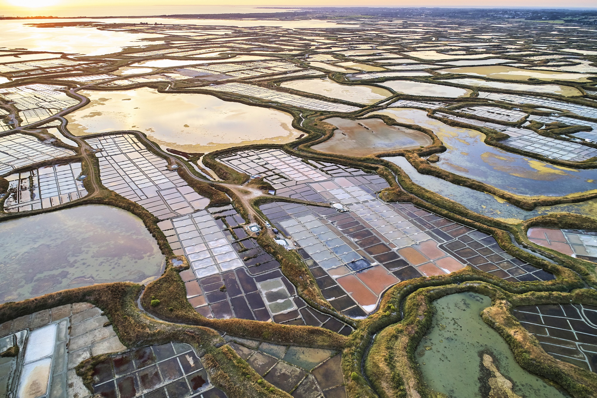 The salt marshes of Guérande - © Alexandre Lamoureux