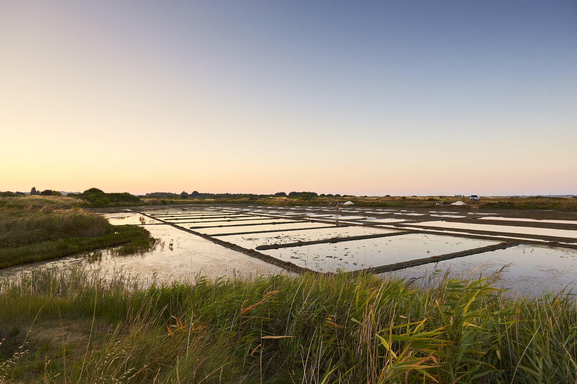 Les marais salants de Guérande au soleil couchant - © Alexandre Lamoureux