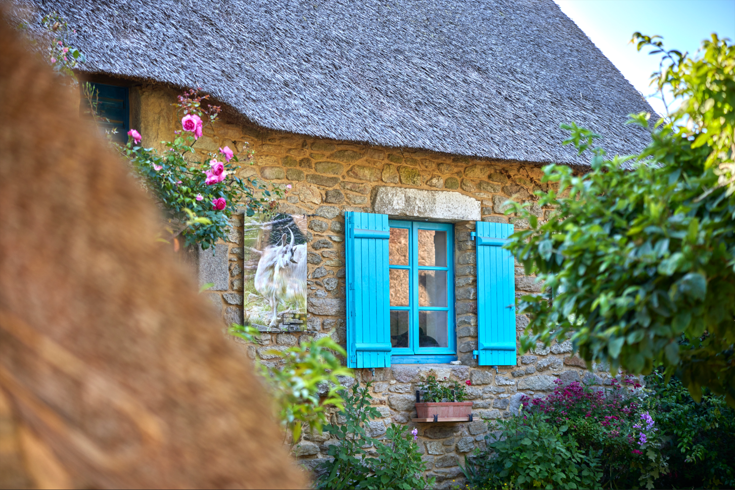  Kerhinet, village de chaumières de Brière - © Alexandre Lamoureux