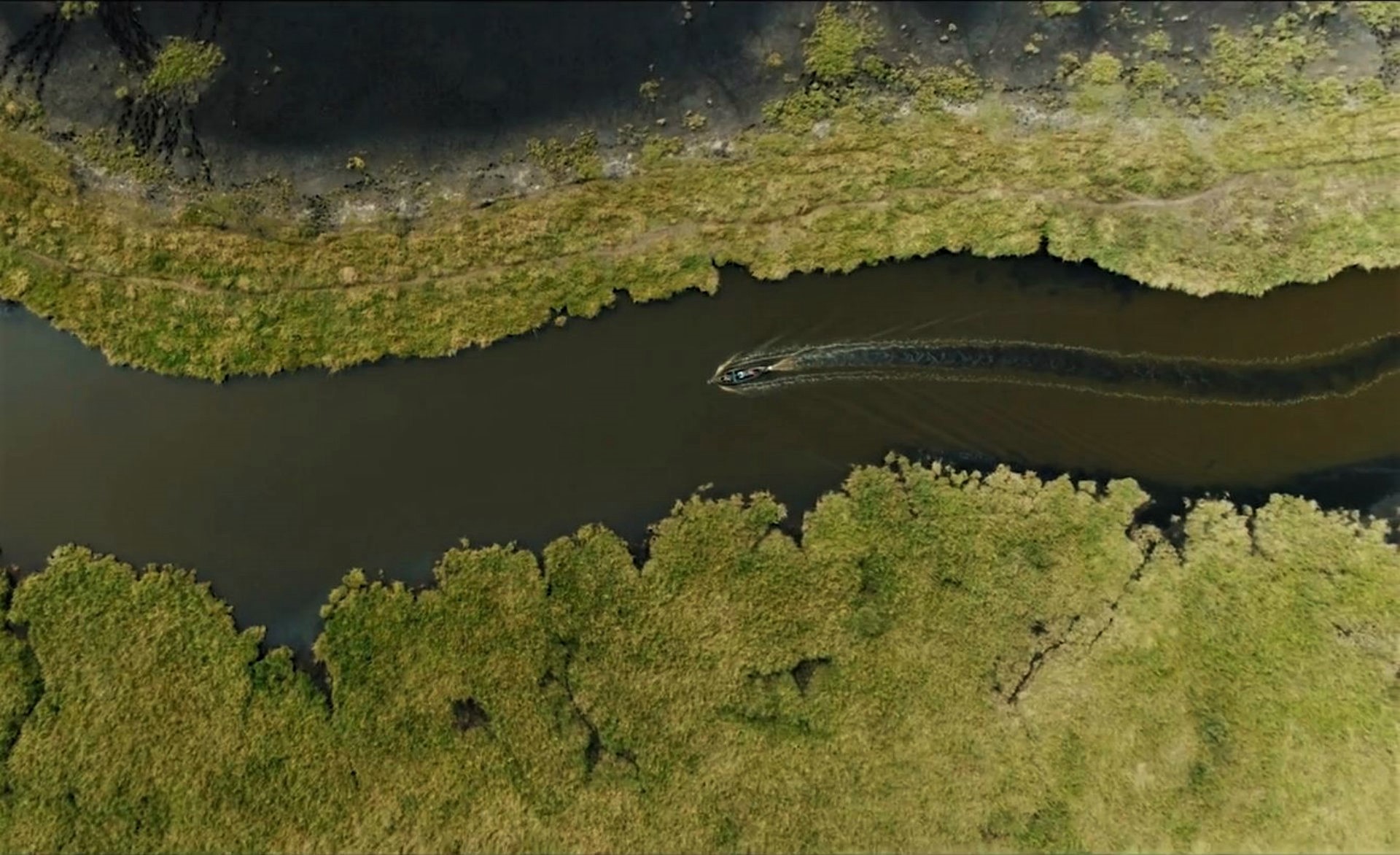 L'onde d'un chaland motorisé - © Parc naturel régional de Brière