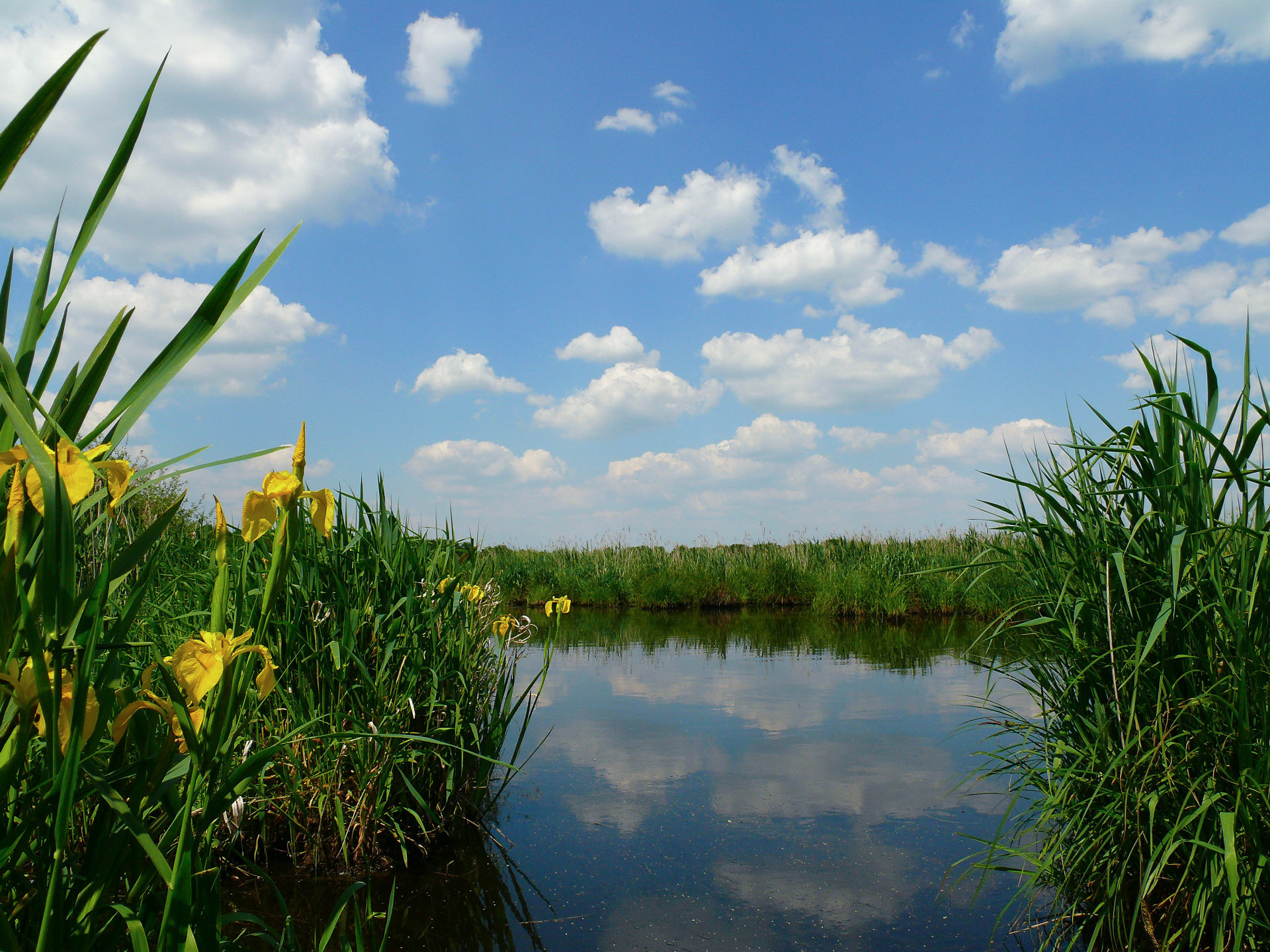 Regionaler Naturpark Brière - der Sumpf - © B. Schoch