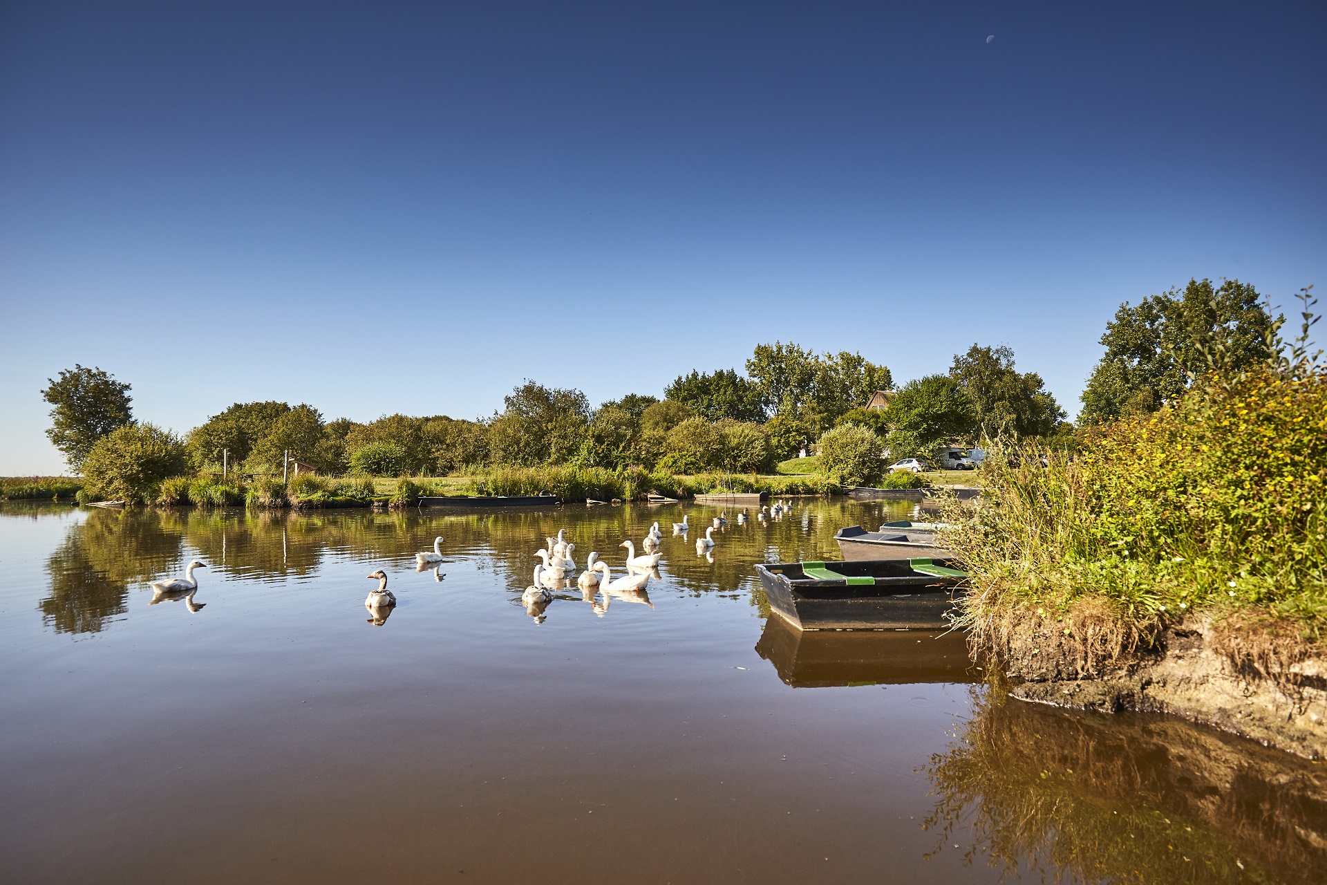 Les Marais de Brière - © Alexandre Lamoureux