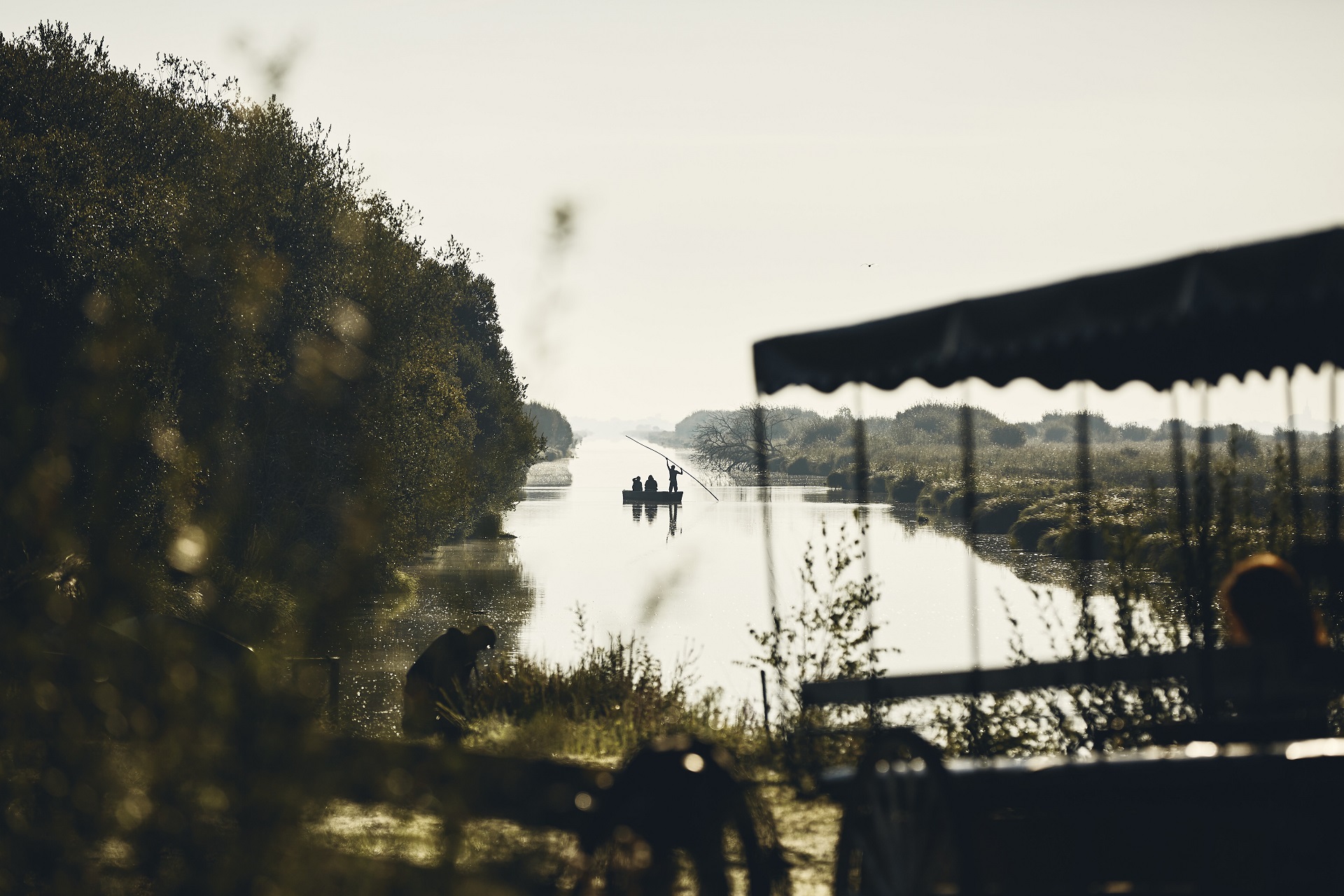 Les marais de Brière - © Alexandre Lamoureux