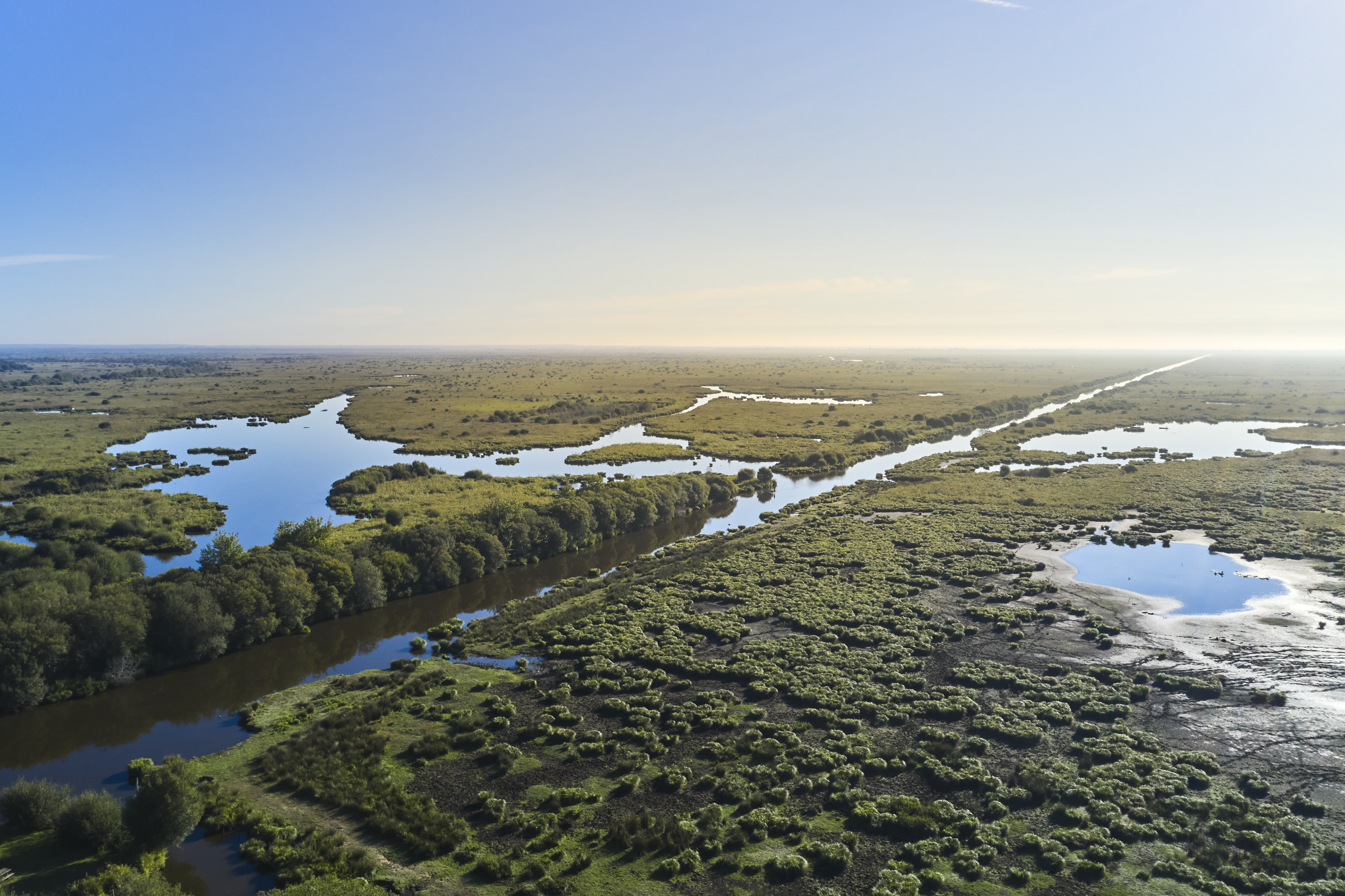 Les marais de Brière vus du ciel - © Alexandre Lamoureux