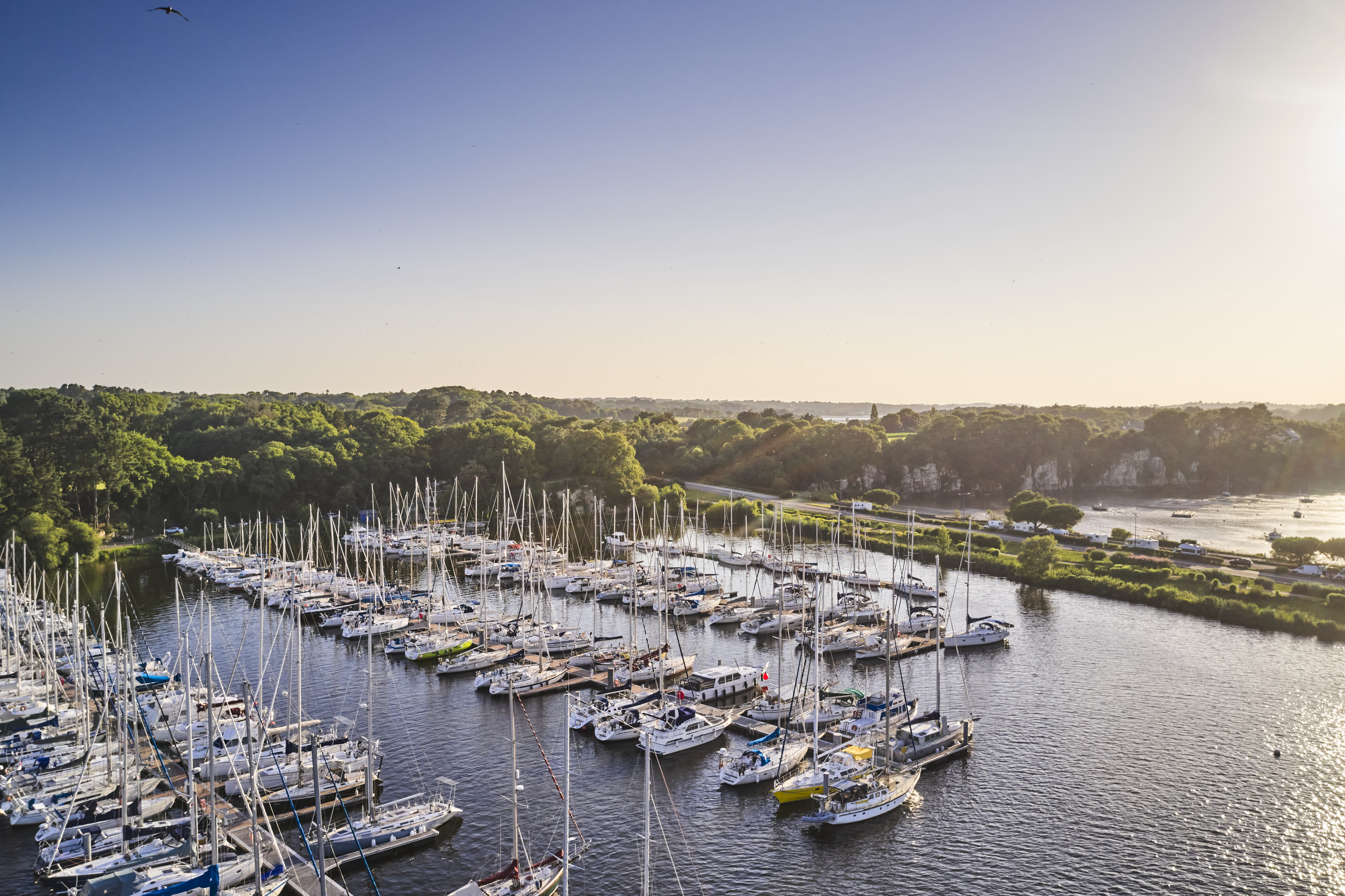 The banks of 'La Vilaine' - © Alexandre Lamoureux