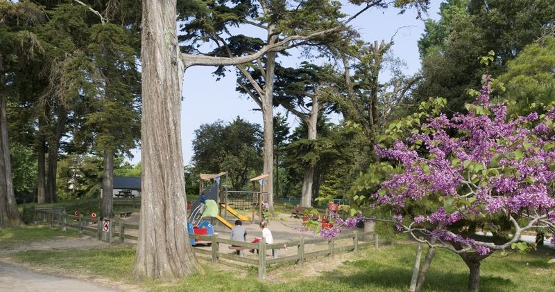 Bois (Stadtpark) von Le Pouliguen