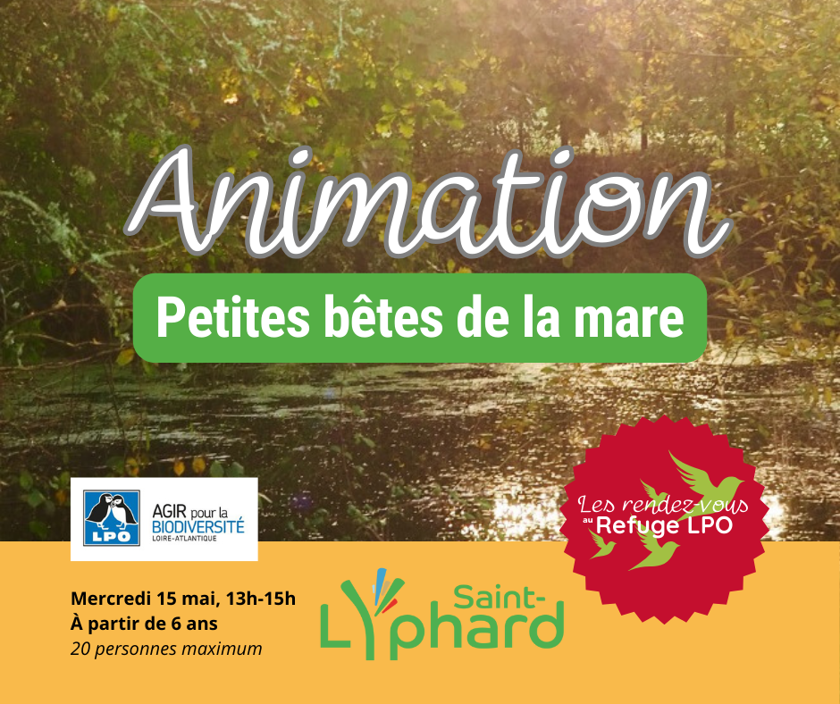 Animations et petites bêtes de la mare - Les rendez-vous refuge LPO St Lyphard