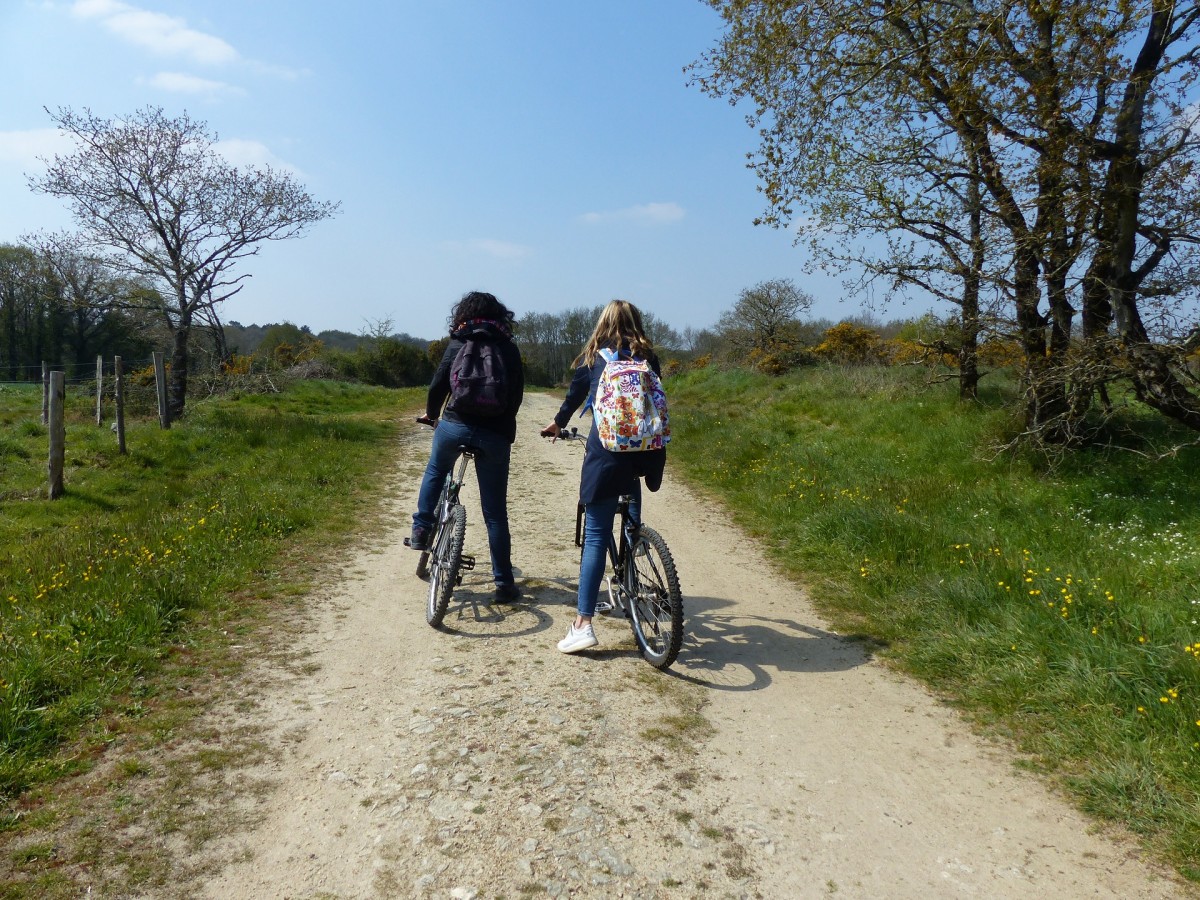 Blog - Balade en campagne entre Chaumières et Marais à Saint Lyphard