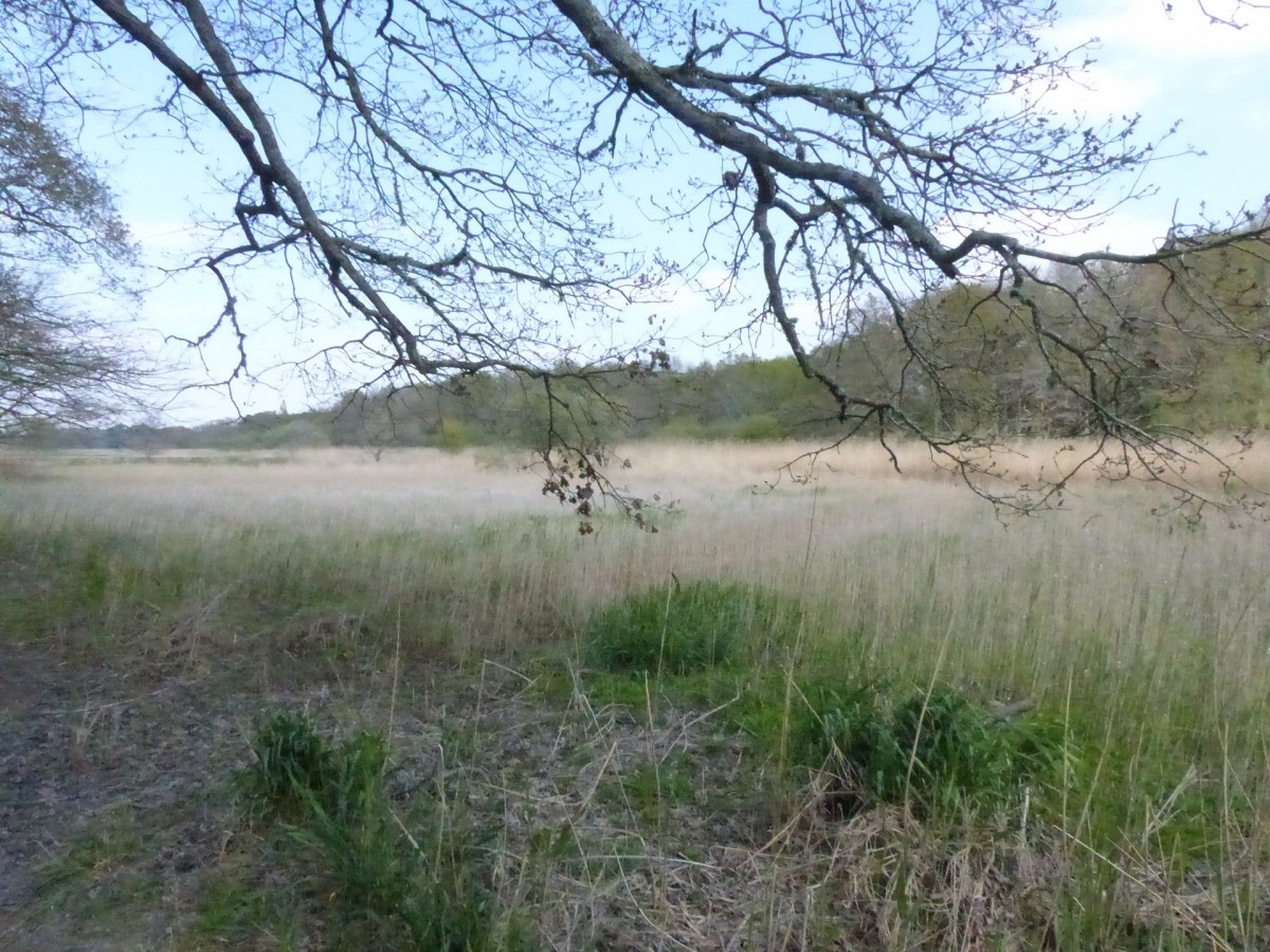 Blog - Balade en campagne entre Chaumières et Marais à Saint Lyphard