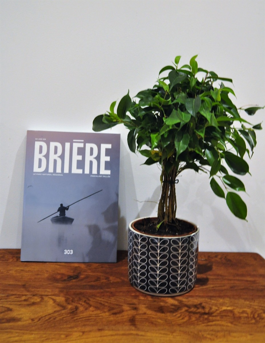 Book '50 ans en Brière'