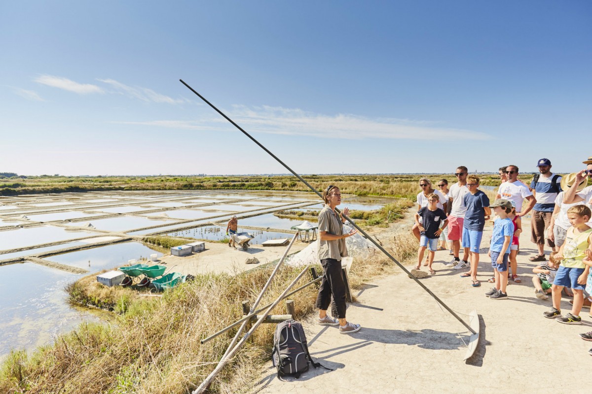 Visite des marais salants de Guérande