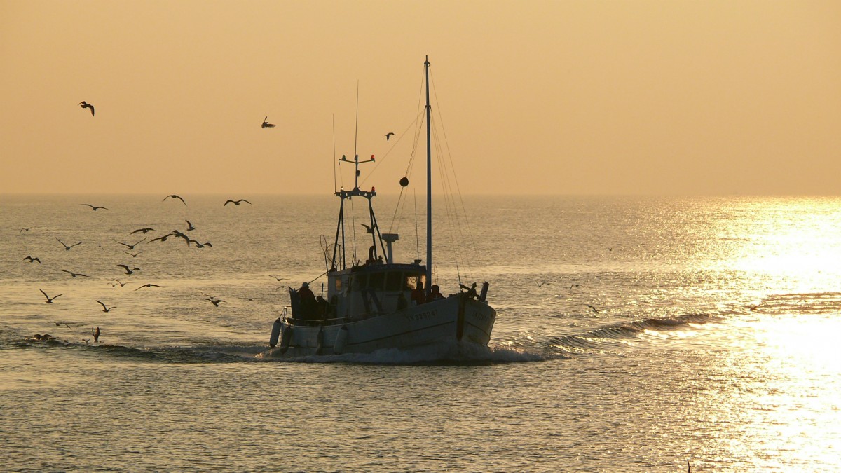 Bateau de pêche au large de La Turballe