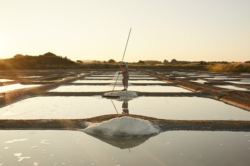 Paludier dans marais salants de Guérande