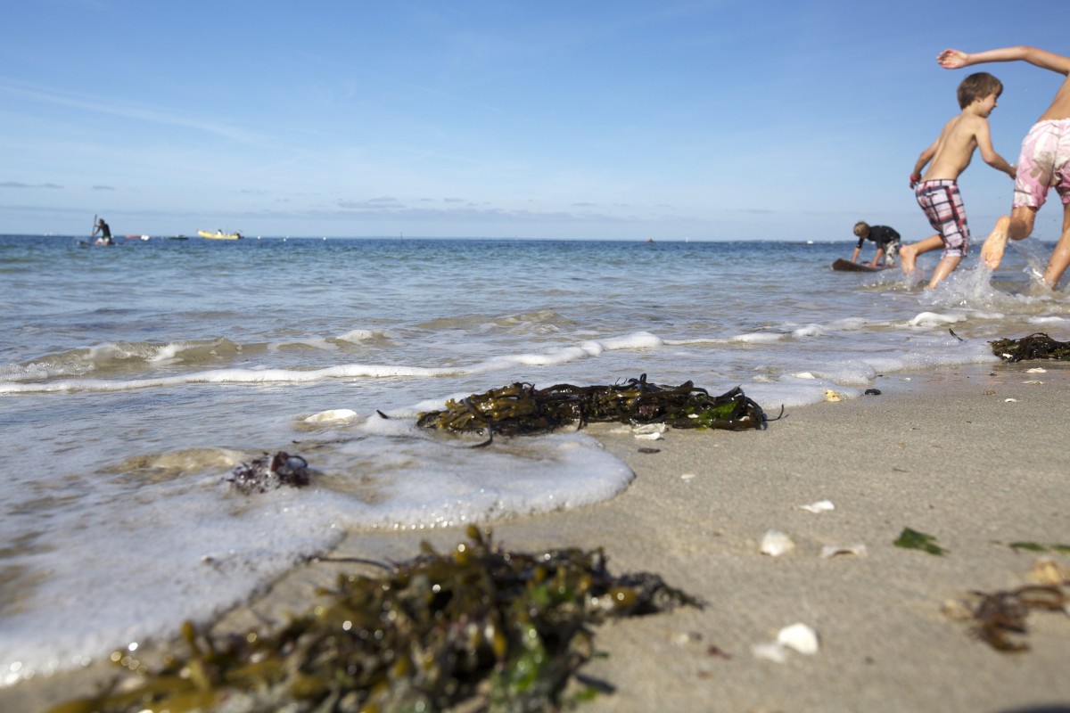 Plage Saint-Michel Piriac