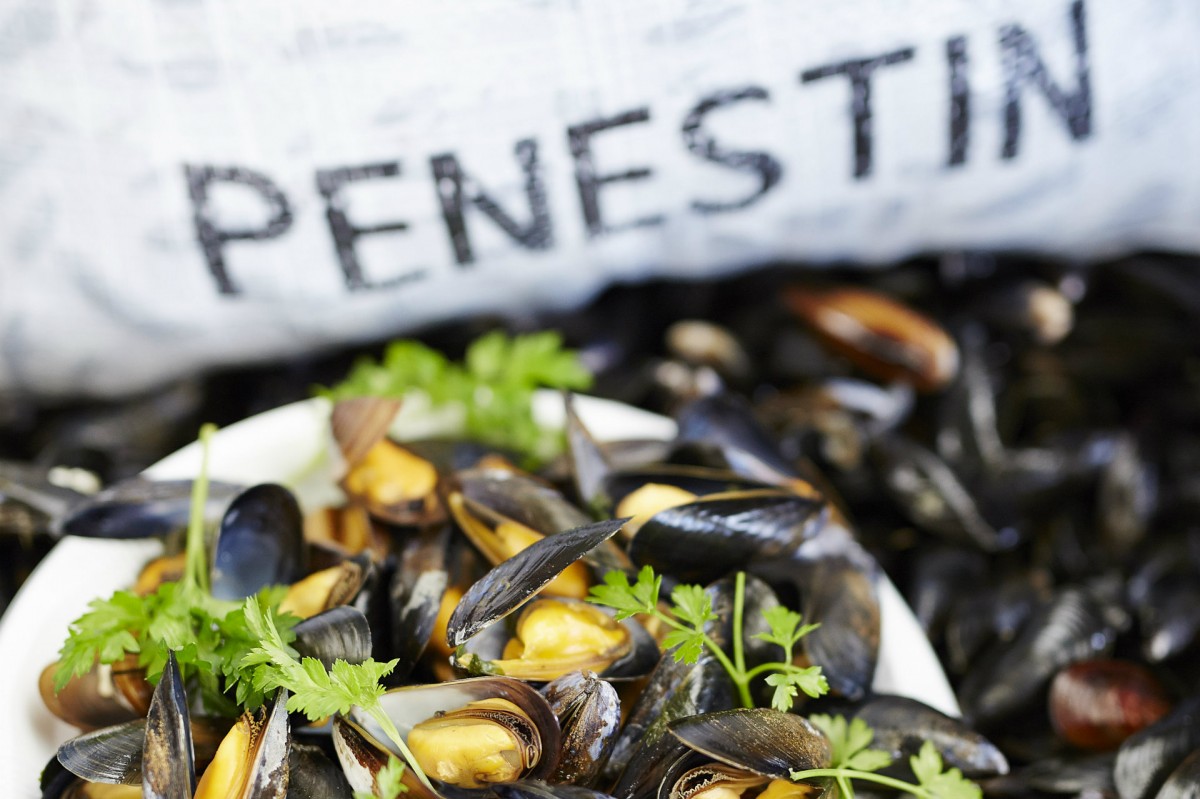 Moules de Bouchot de Pénestin