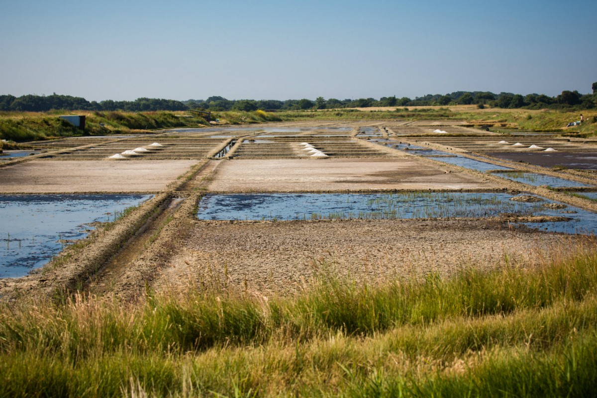 Les marais salants du Mès à Assérac