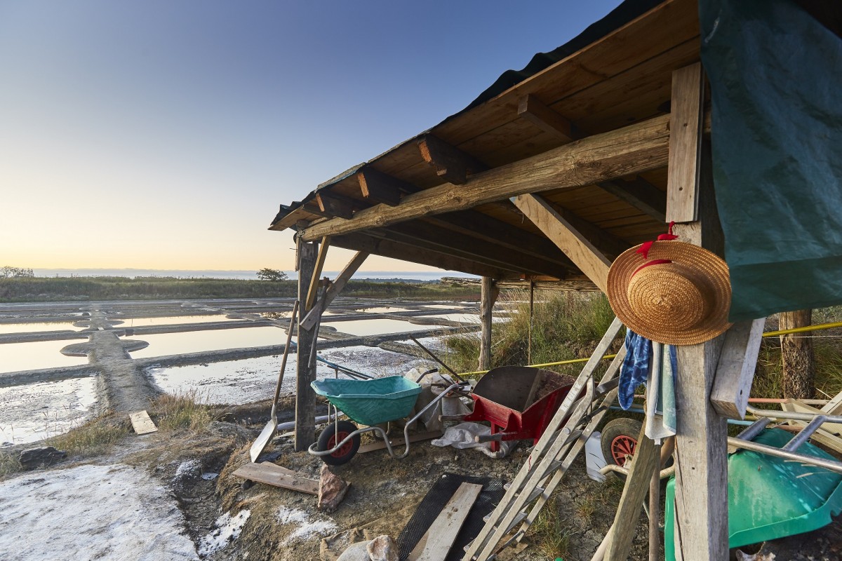 Salt marshes of Saint-Molf